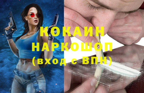 стафф Новозыбков