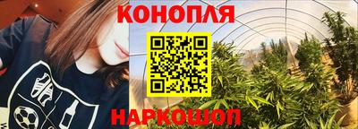 прущие грибы Волжск