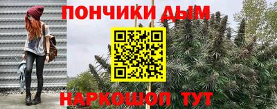 прущие грибы Волжск